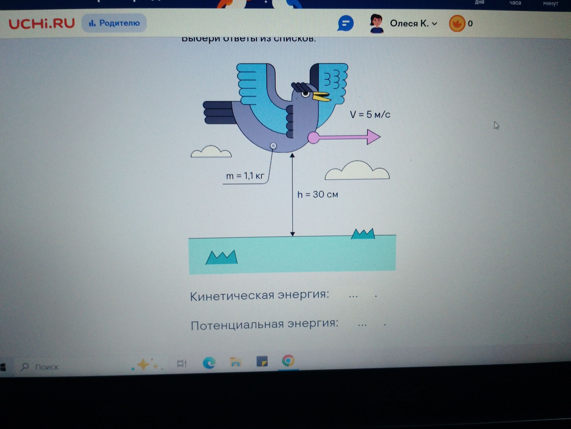Фото задания: Определите кинетическую и потенциальную энергию птицы.