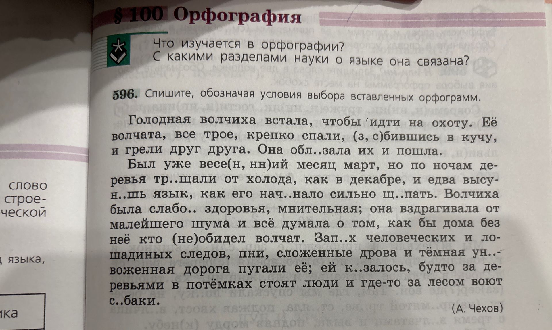 Фото задания: Спишите, обозначая условия выбора вставленных орфограмм. Голодная волчиха встала, чтобы идти на охоту. Её волчата, все…