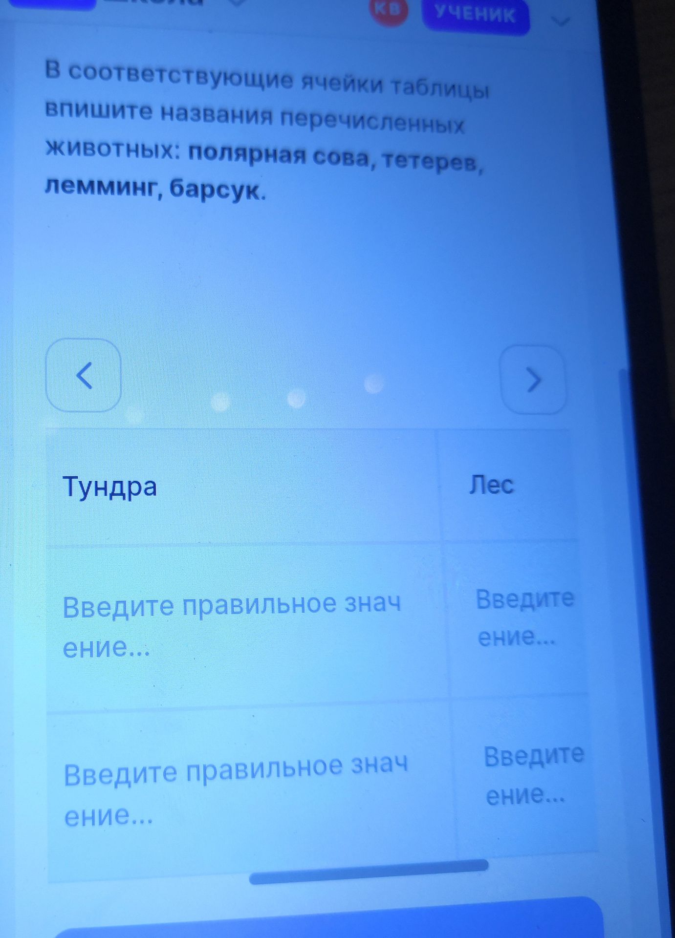 Фото задания: В соответствующие ячейки таблицы впишите названия перечисленных животных: полярная сова, тетерев, лемминг, барсук.