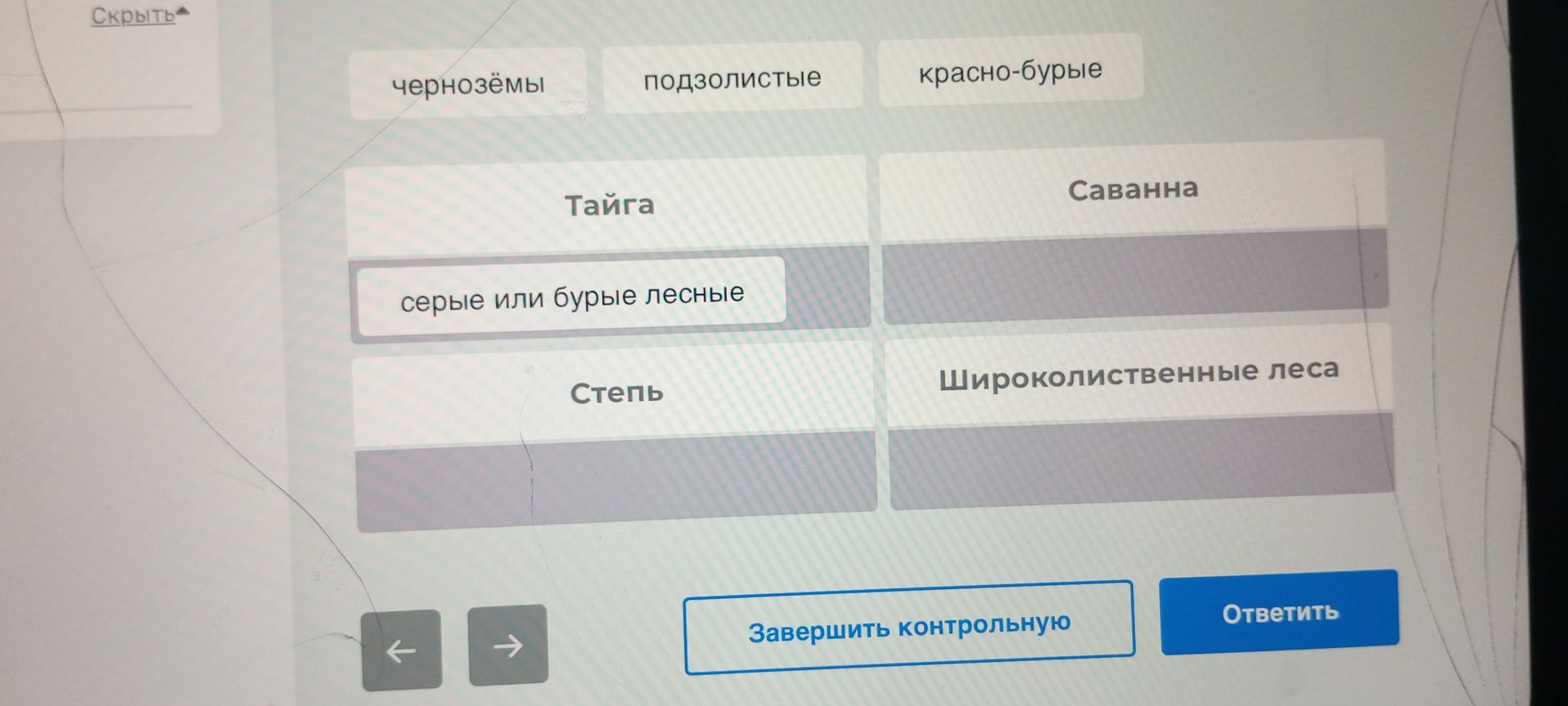 Фото задания: Combine the text from the image into a JSON array. The text elements are grouped into a grid-like structure. Identify and…