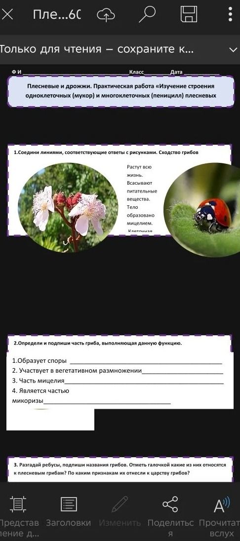 Фото задания: 2. Определи и подпиши часть гриба, выполняющая данную функцию.