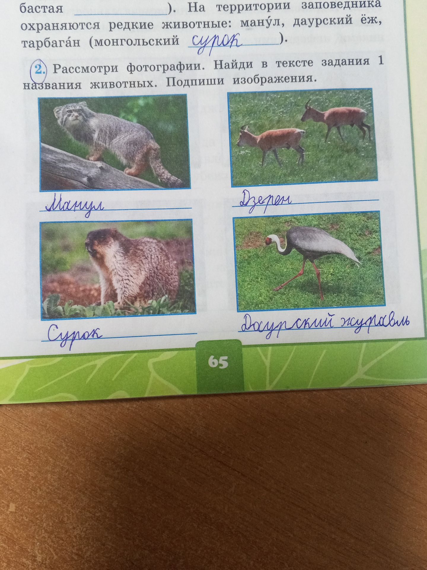 Фото задания: Рассмотри фотографии. Найди в тексте задания 1 названия животных. Подпиши изображения.