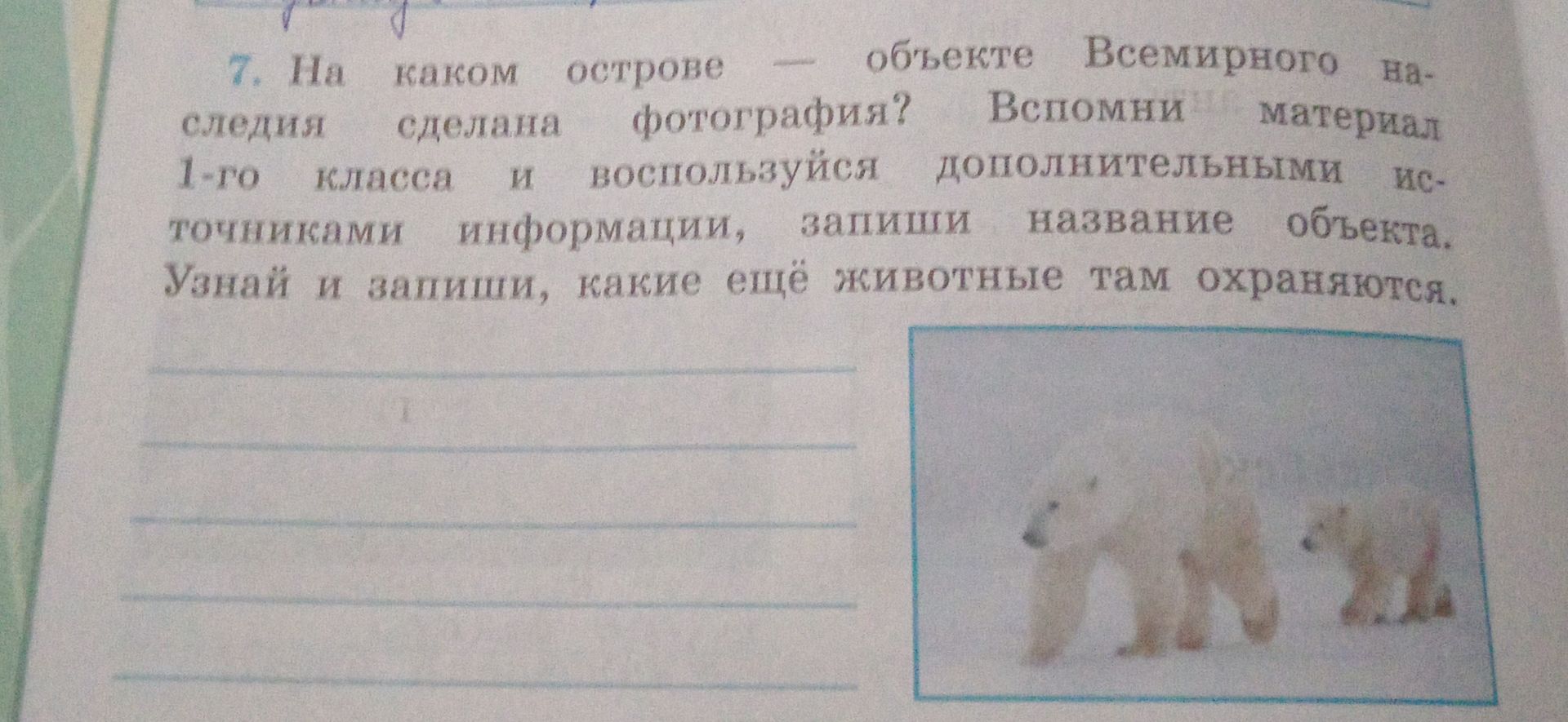 Фото задания: 7. На каком острове сделана фотография? Вспомни материал 1-го класса и воспользуйся дополнительными источниками информации,…