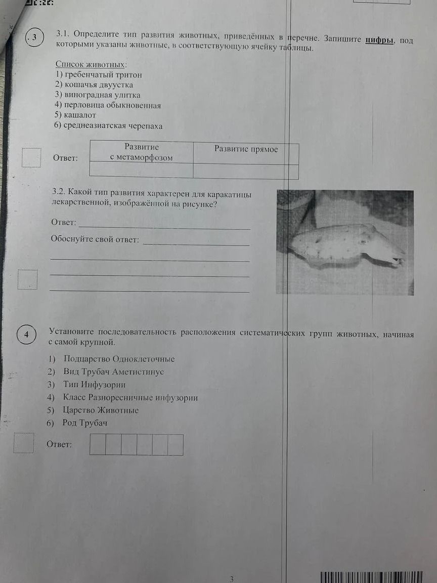 Фото задания: 3.2. Какой тип развития характерен для каракатицы лекарственной, изображённой на рисунке?