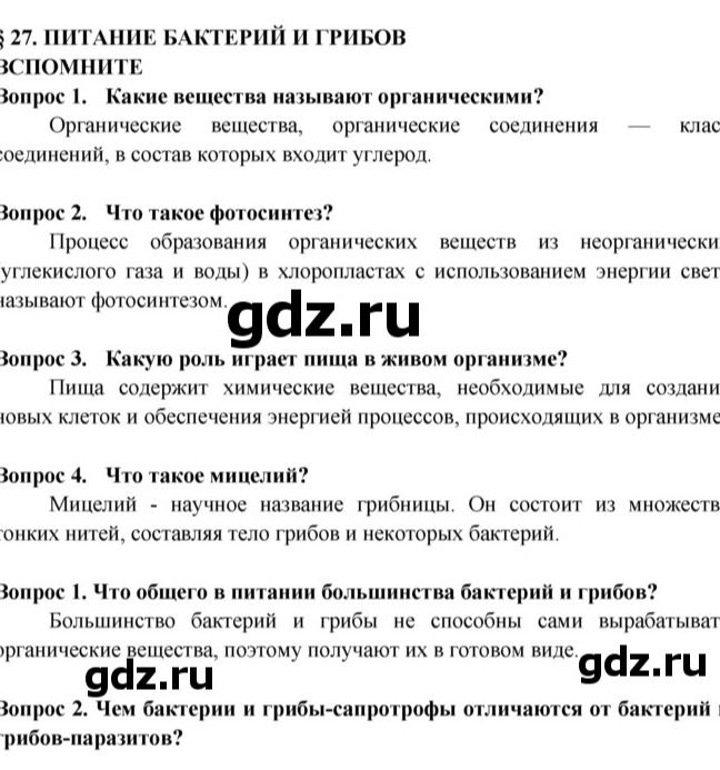 Фото задания: Что такое мицелий?