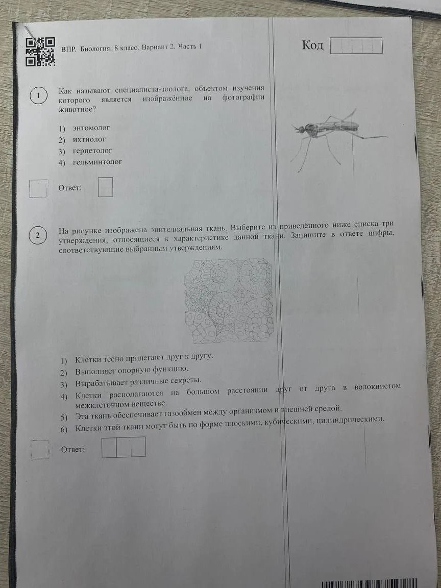 Фото задания: На рисунке изображена эпителиальная ткань. Выберите из приведённого ниже списка три утверждения, относящиеся к характеристике…