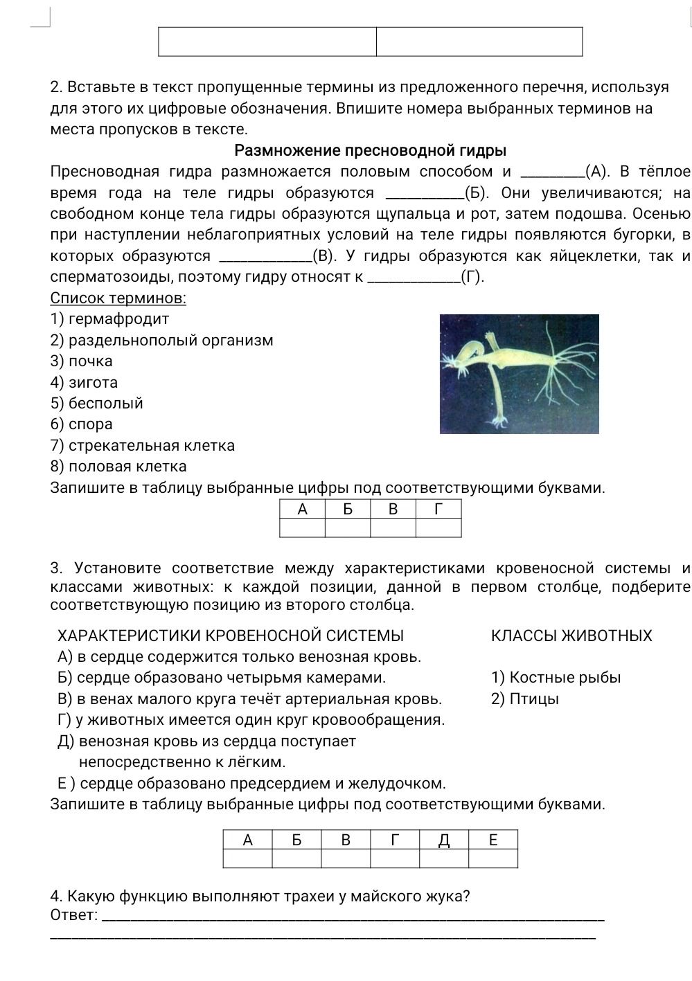 Фото задания: 4. Какую функцию выполняют трахеи у майского жука?