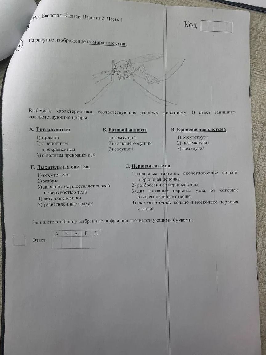 Фото задания: На рисунке изображение комара пискуна. Выберите характеристики, соответствующие данному животному. В ответ запишите…