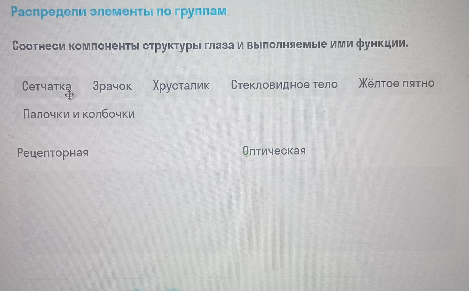 Фото задания: Распредели элементы по группам. Соотнеси компоненты структуры глаза и выполняемые ими функции.
