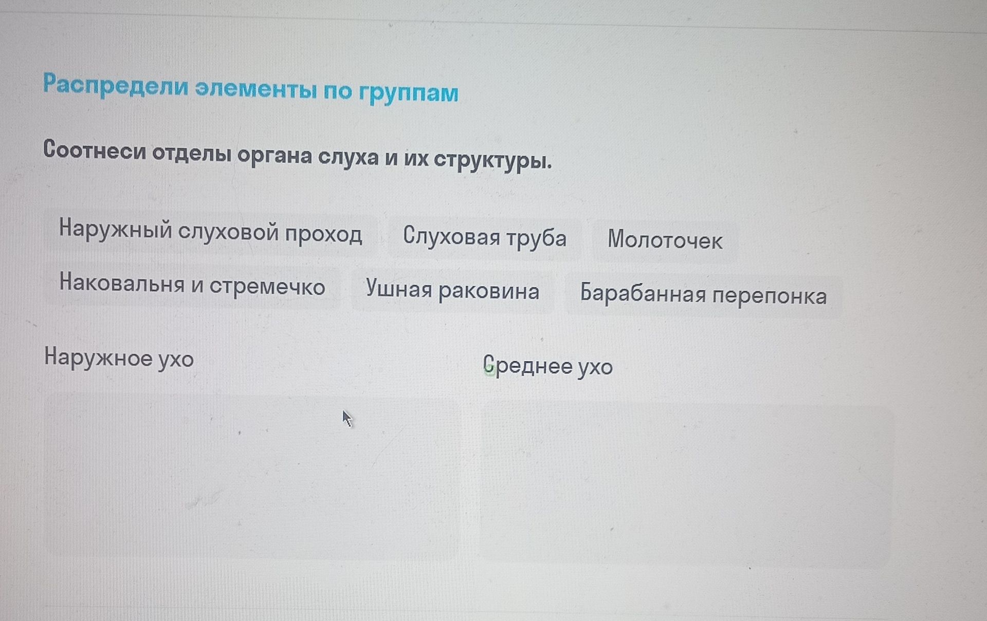 Фото задания: Распредели элементы по группам. Соотнеси отделы органа слуха и их структуры.