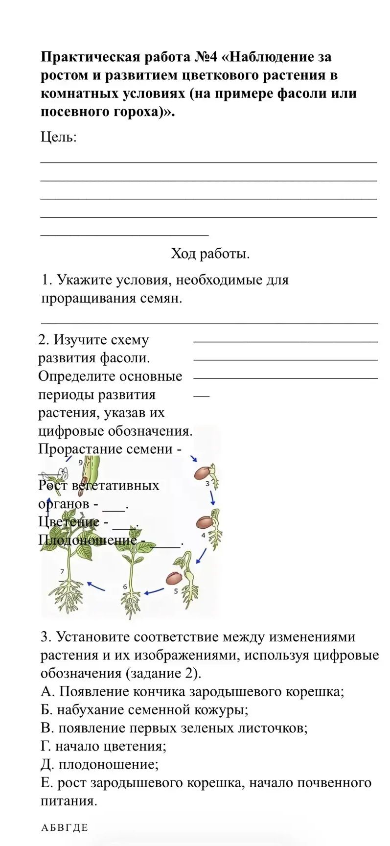 Фото задания: Ход работы. 1. Укажите условия, необходимые для проращивания семян.
