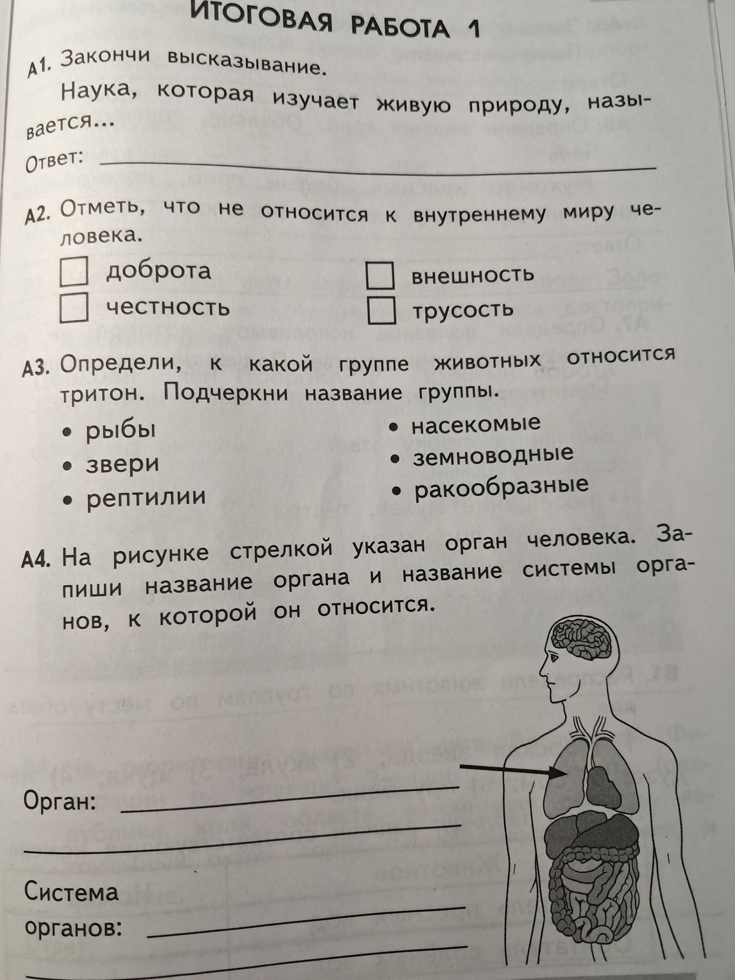 Фото задания: А2. Отметь, что не относится к внутреннему миру человека.