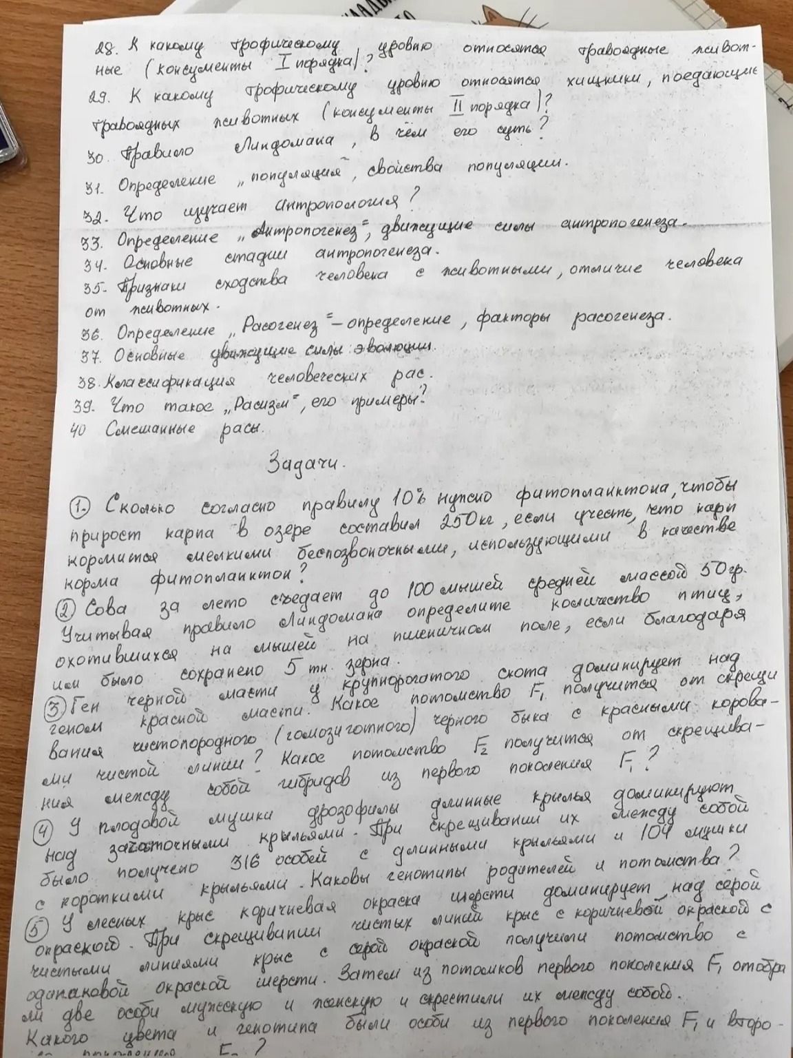 Фото задания: 18. К какому трофическому уровню относятся плотоядные (консументы I порядка)?