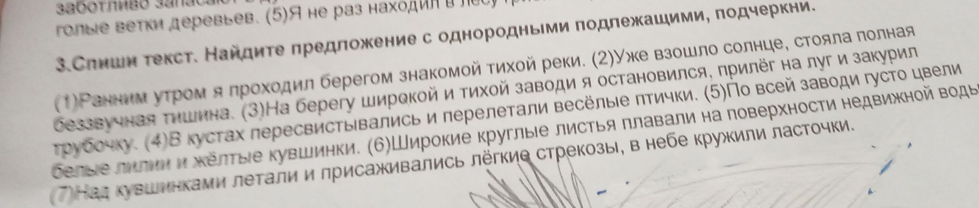 Фото задания: 3. Спиши текст. Найдите предложение с однородными подлежащими, подчеркни.