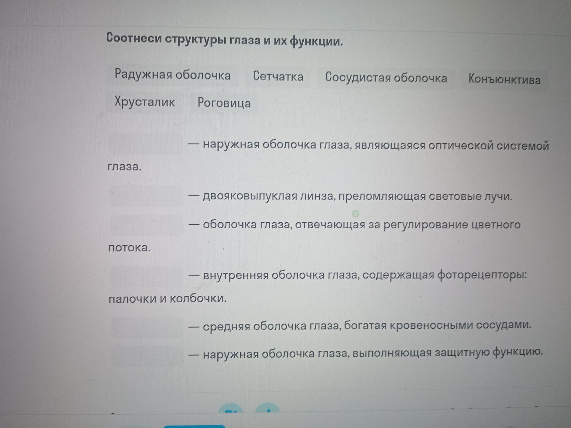 Фото задания: Соотнеси структуры глаза и их функции.