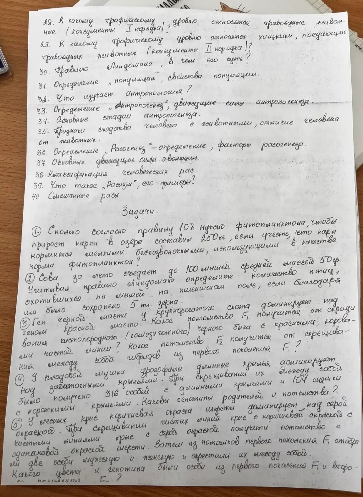 Фото задания: 34. Основные стадии антропогенеза.