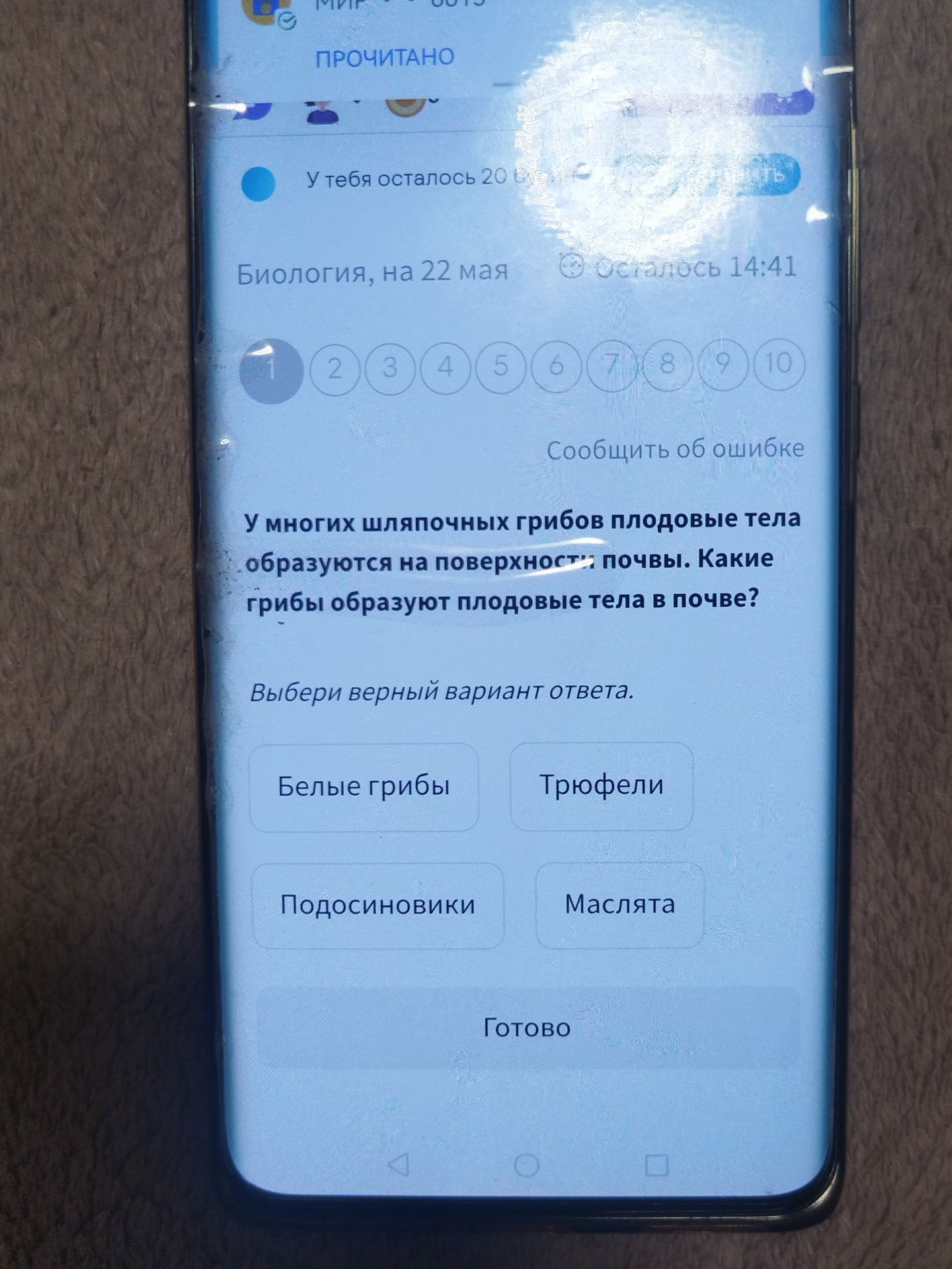 Фото задания: У многих шляпочных грибов плодовые тела образуются на поверхности почвы. Какие грибы образуют плодовые тела в почве?