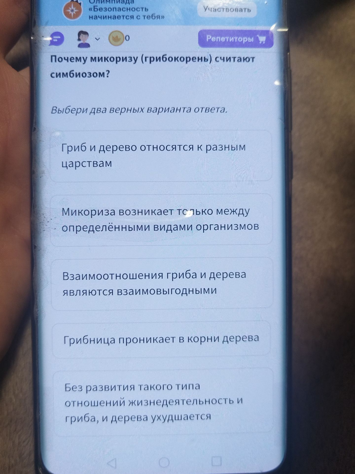 Фото задания: Почему микоризу (грибокорень) считают симбиозом?
