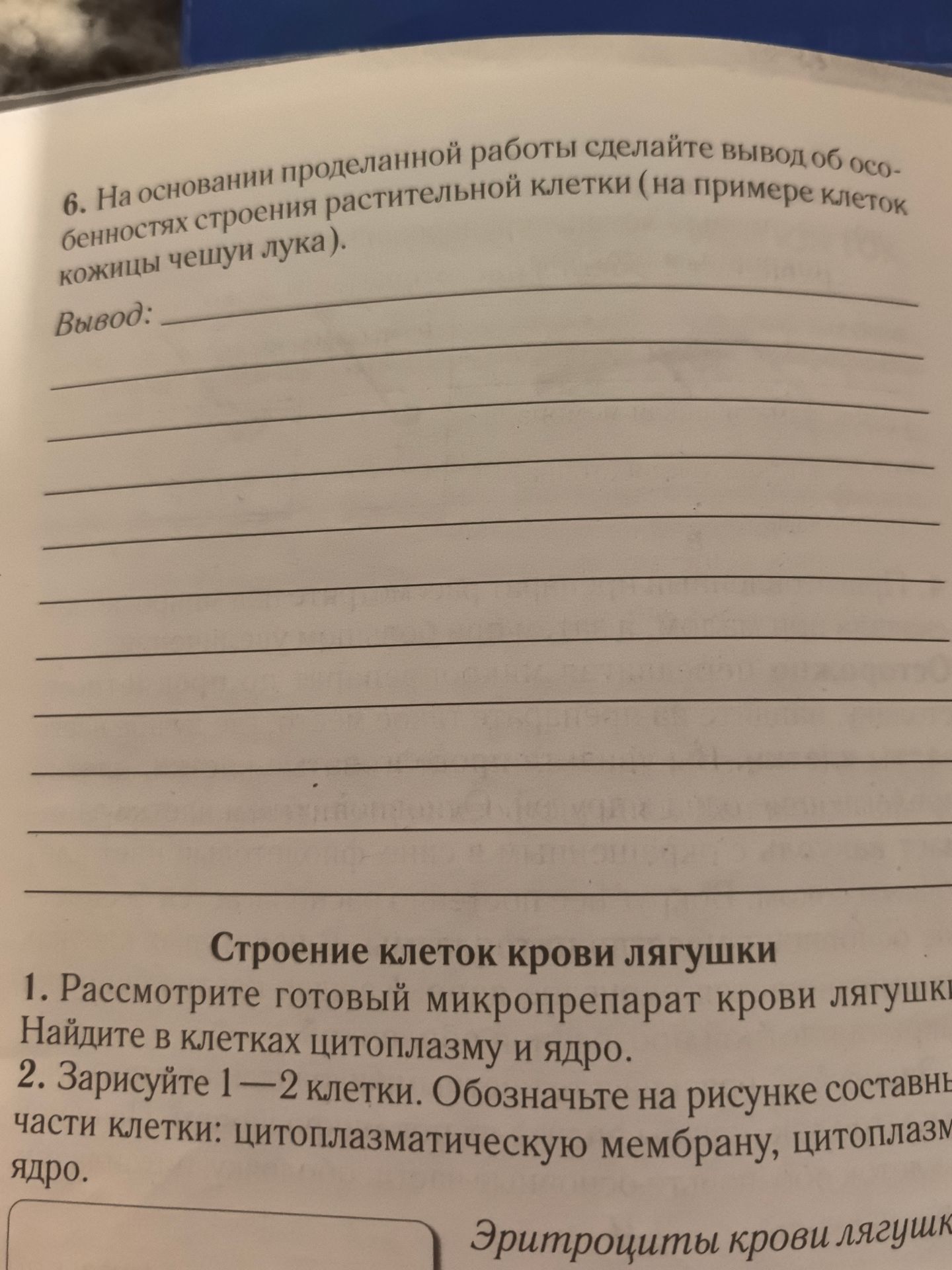 Фото задания: 6. На основании проделанной работы сделайте вывод об особенностях строения растительной клетки (на примере клеток кожицы…