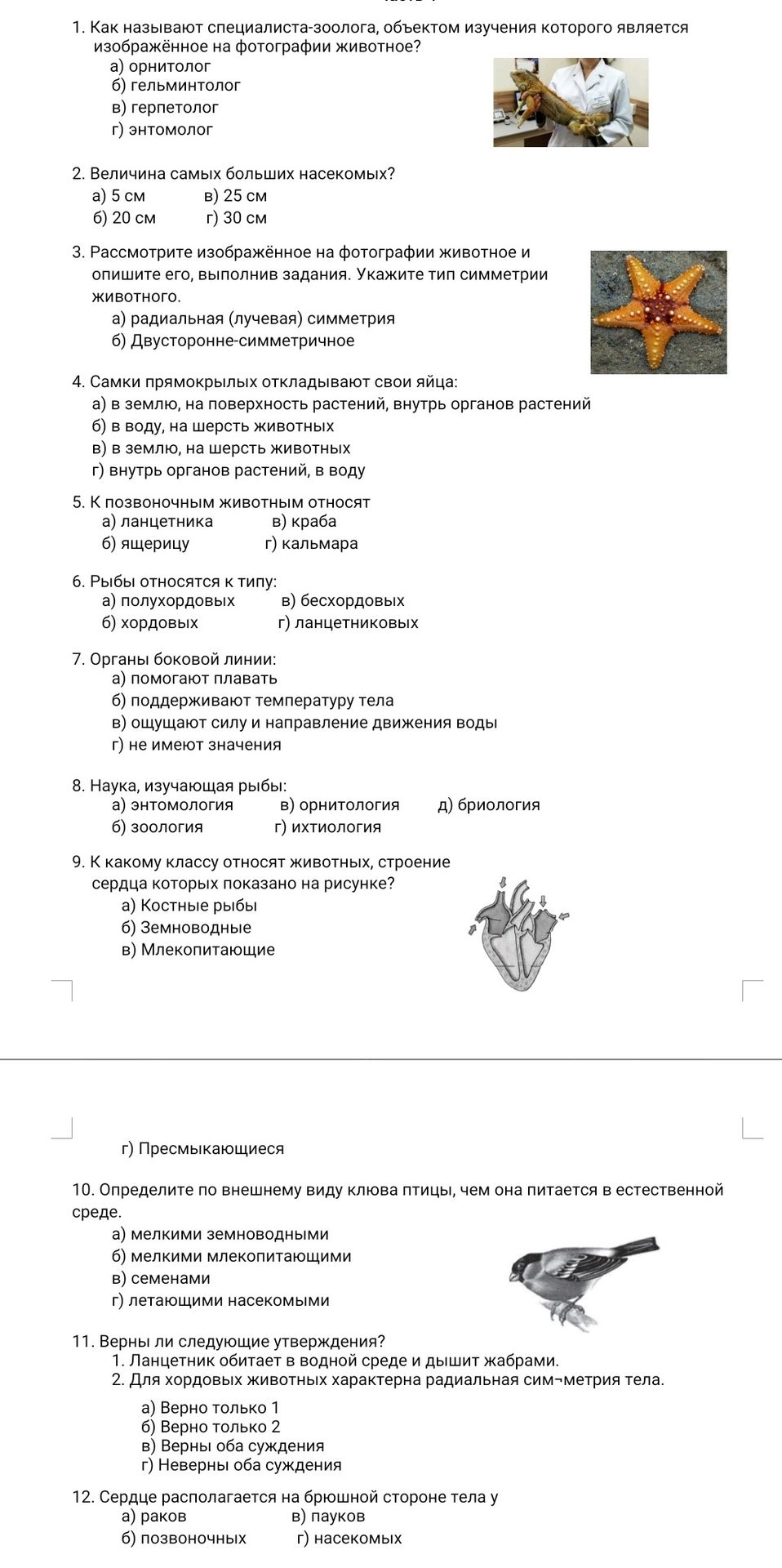 Фото задания: 6. Рыбы относятся к типу: