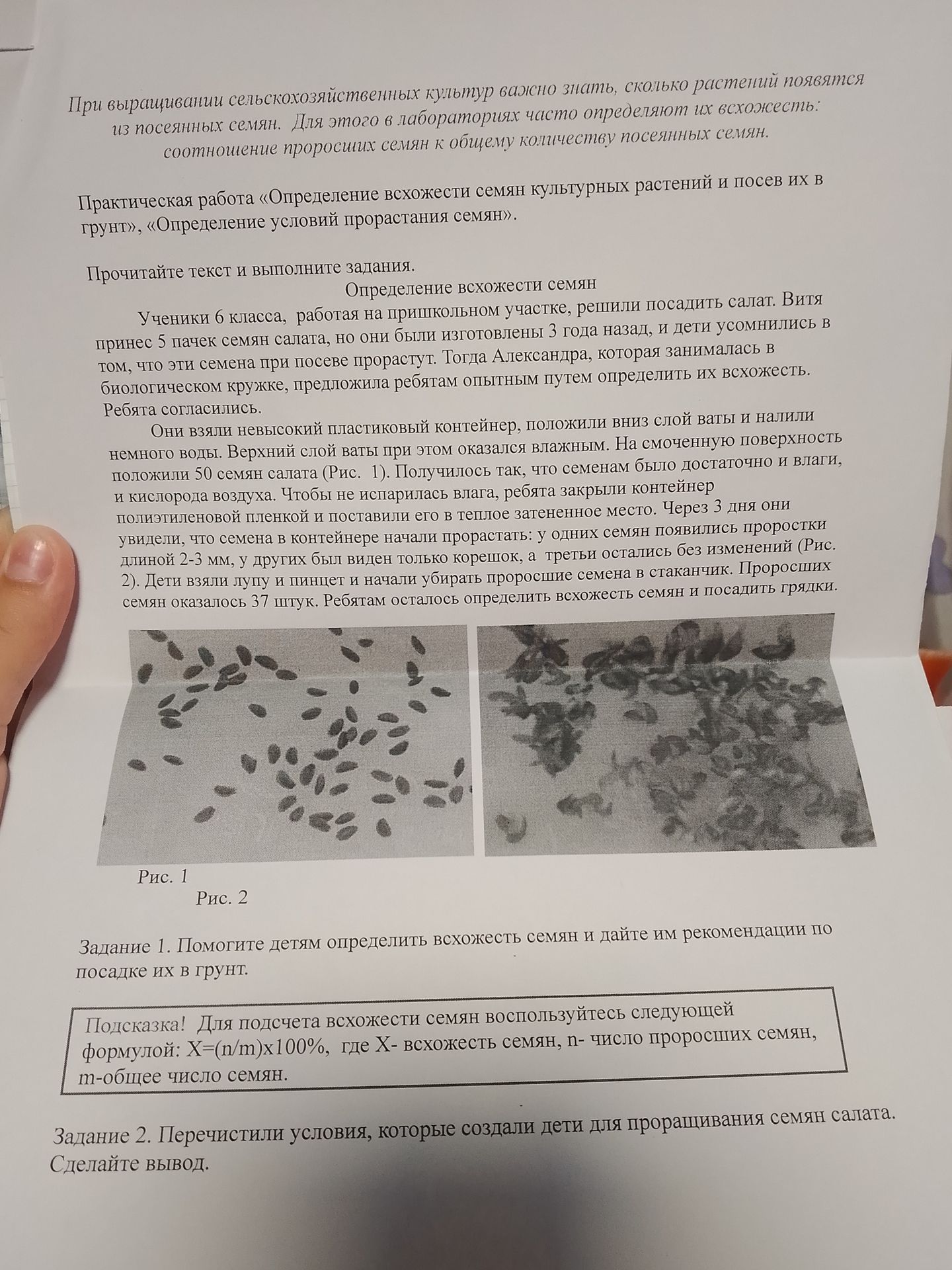 Фото задания: Перечислите условия, которые создали дети для проращивания семян салата. Сделайте вывод.