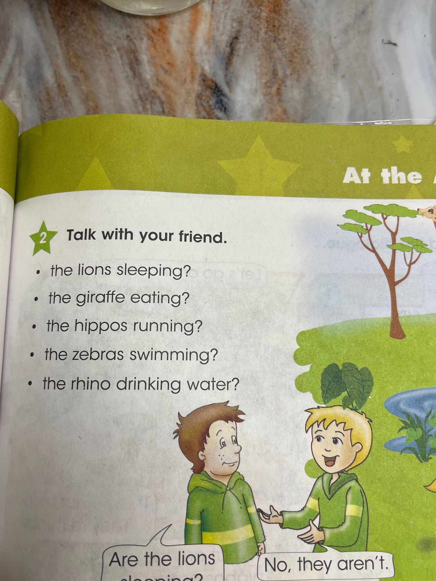 Фото задания: Talk with your friend. - the lions sleeping? - the giraffe eating? - the hippos running? - the zebras swimming? - the rhino…