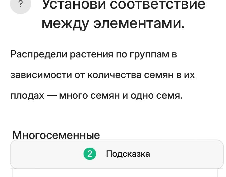 Фото задания: Установи соответствие между элементами. Распредели растения по группам в зависимости от количества семян в их плодах —…