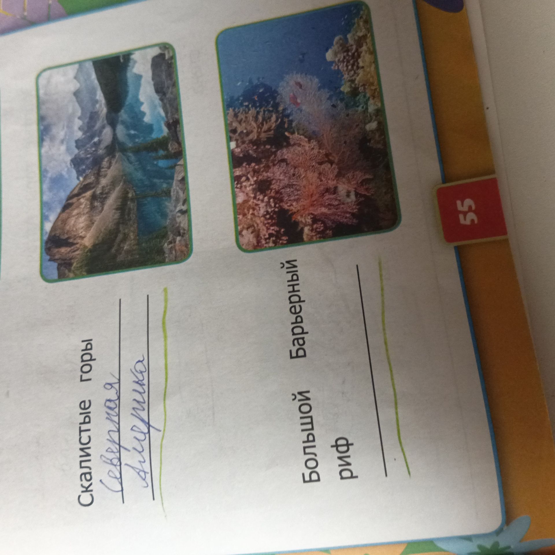 Фото задания: This is an image of a page from a book with two pictures and some text. What can you tell me about the content?