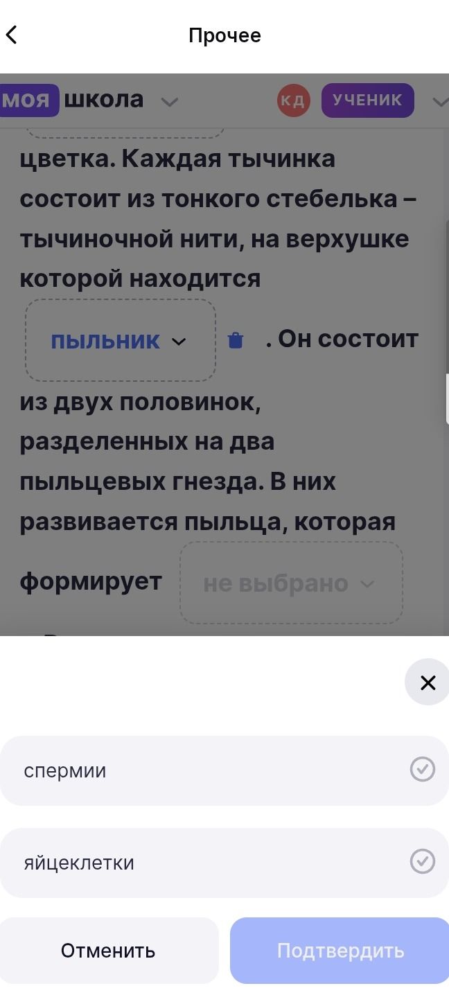 Фото задания: цветка. Каждая тычинка состоит из тонкого стебелька – тычиночной нити, на верхушке которой находится пыльник . Он состоит…