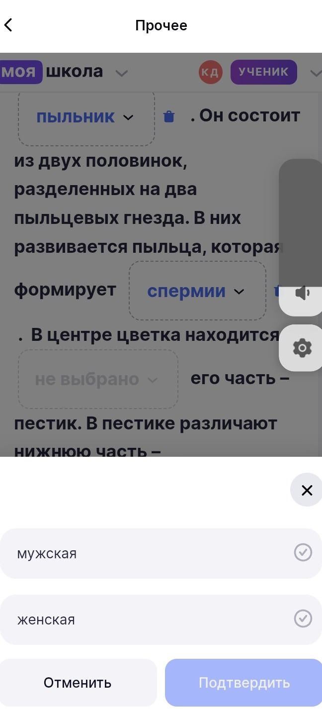 Фото задания: женская