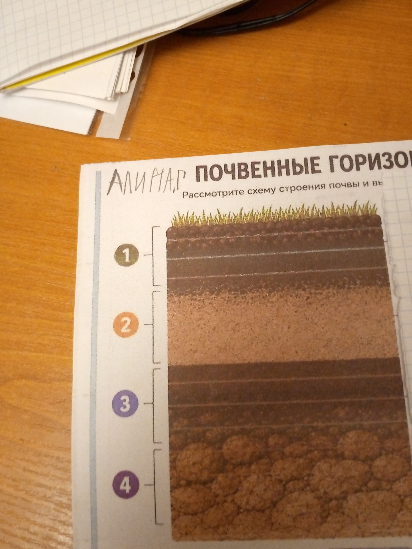 Фото задания: What are the soil horizons shown in the diagram, and what are their characteristics?