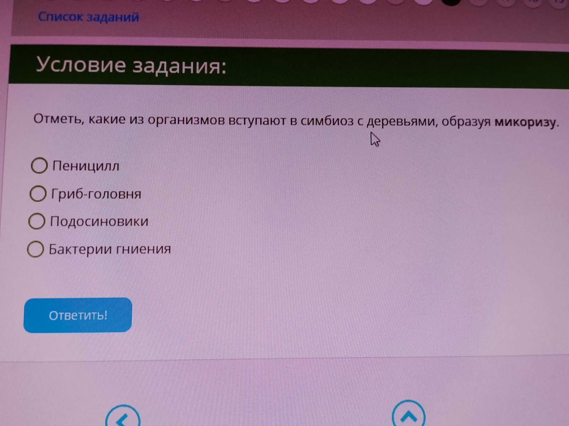 Фото задания: Отметь, какие из организмов вступают в симбиоз с деревьями, образуя микоризу.