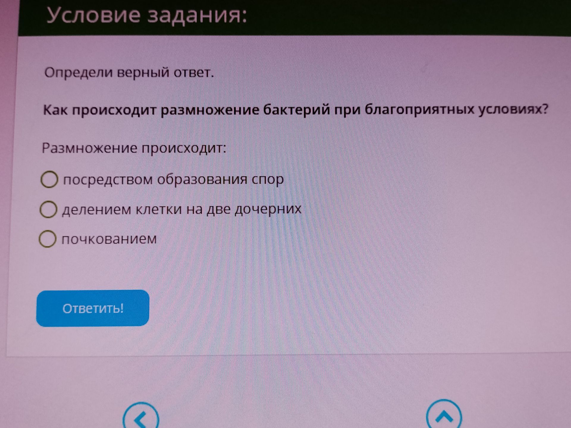 Фото задания: Определи верный ответ. Как происходит размножение бактерий при благоприятных условиях? Размножение происходит: посредством…