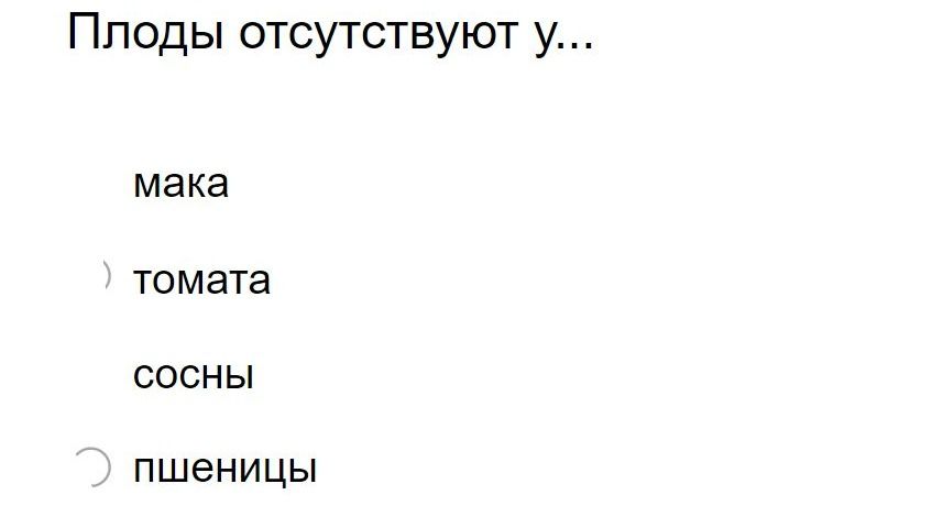 Фото задания: Плоды отсутствуют у...