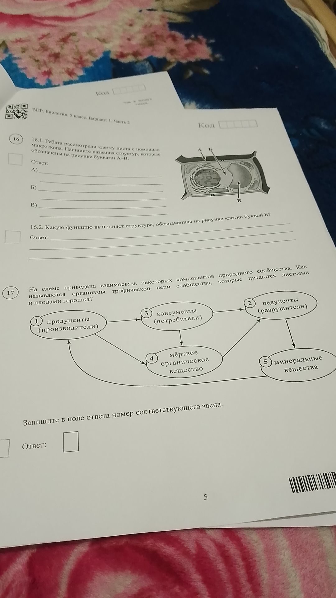 Фото задания: 17. На схеме приведена взаимосвязь некоторых компонентов природного сообщества. Как называются организмы трофической цепи,…
