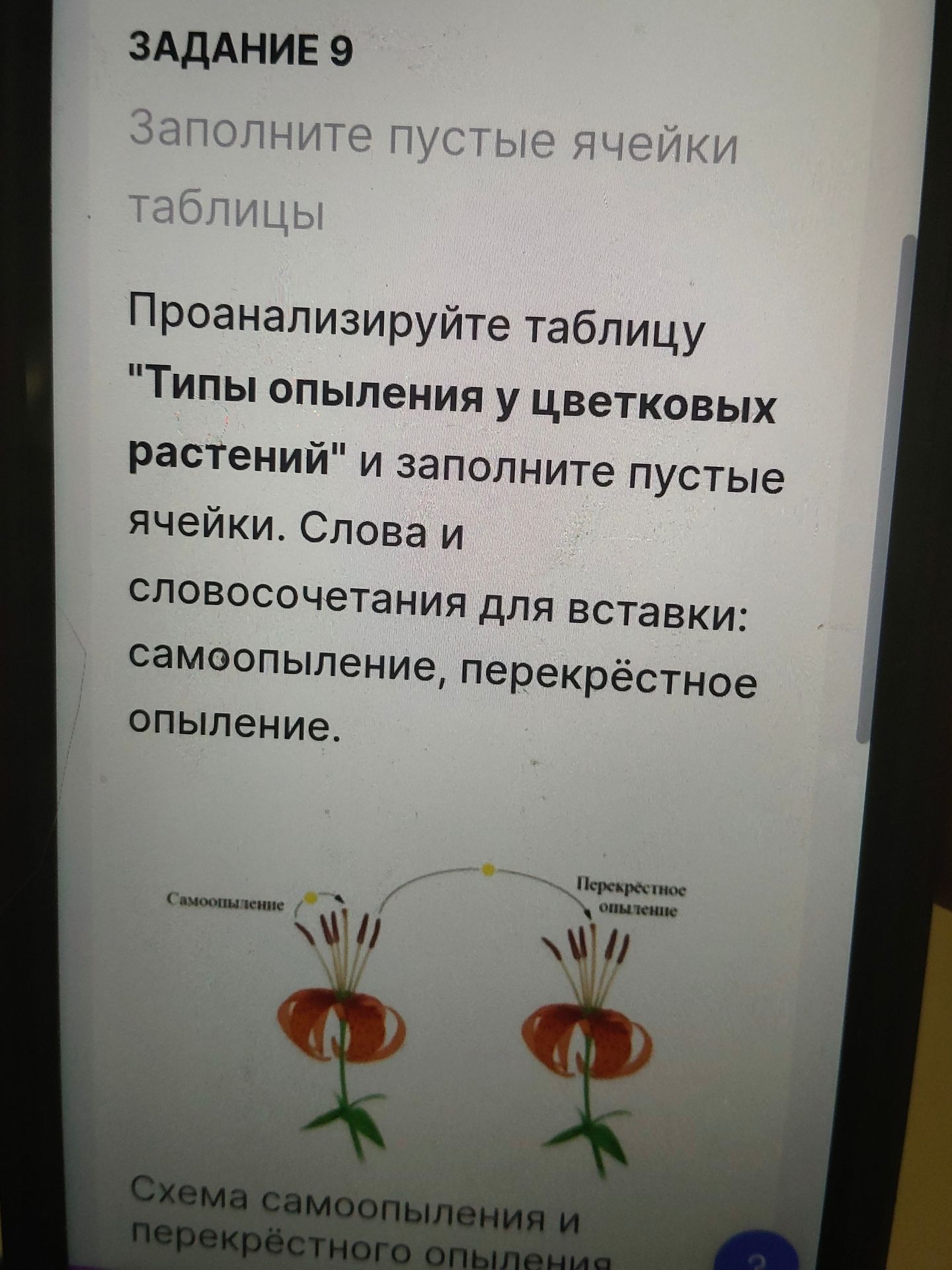 Фото задания: Проанализируйте таблицу "Типы опыления у цветковых растений" и заполните пустые ячейки. Слова и словосочетания для вставки:…