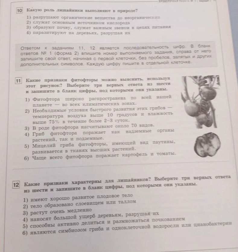 Фото задания: 10 Какую роль лишайники выполняют в природе?