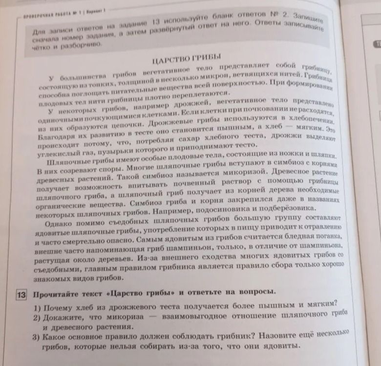 Фото задания: 1) Почему хлеб из дрожжевого теста получается более пышным и мягким?