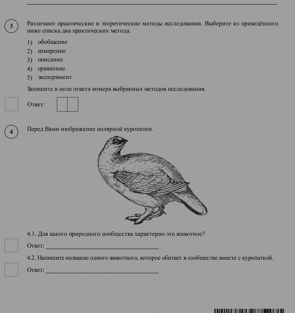 Фото задания: Перед Вами изображение полярной куропатки.