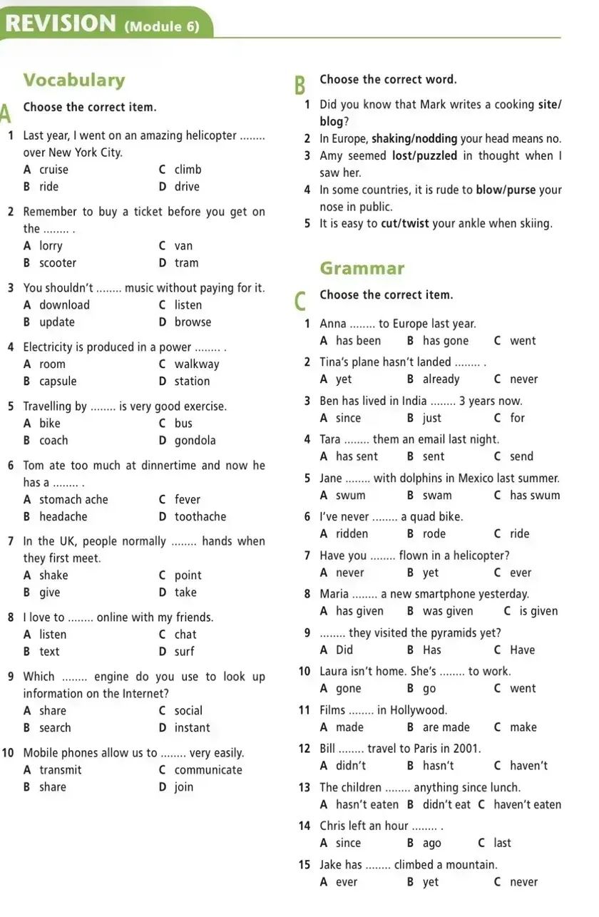 Фото задания: Choose the correct word. 1 Did you know that Mark writes a cooking site/ blog? 2 In Europe, shaking/nodding your head means…