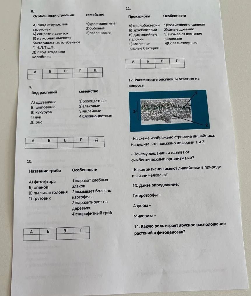 Фото задания: 11. Прокариоты А) цианобактерии Б) архебактерии В) дифтерийные палочки Г) молочно-кислые бактерии Особенности 1)…