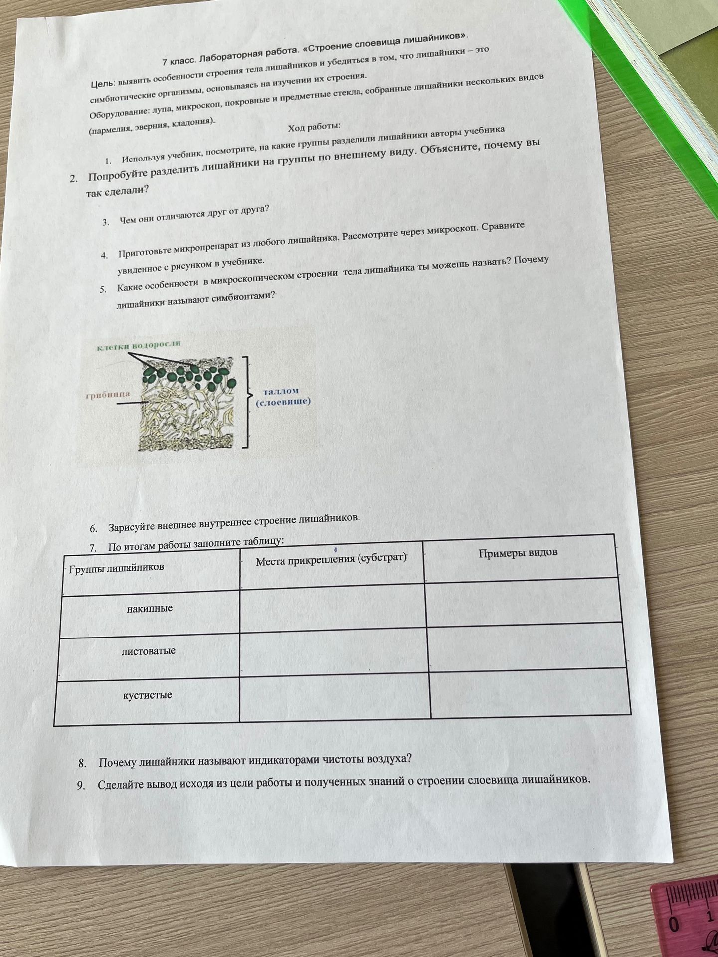 Фото задания: 7 класс. Лабораторная работа. «Строение слоевища лишайников». Цель: выявить особенности строения тела лишайников и…