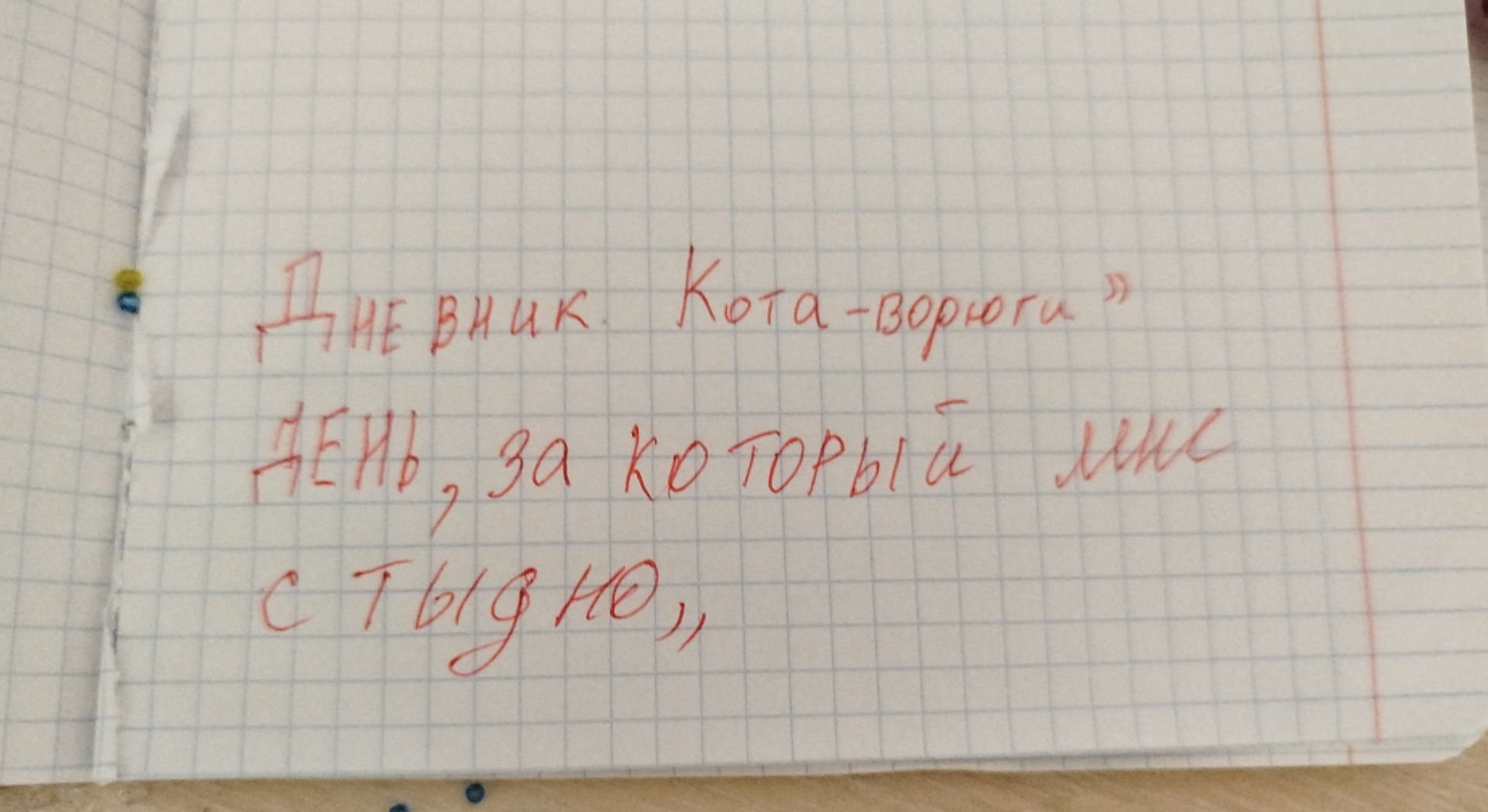 Фото задания: ДНЕВНИК. Кота-ворюги " День, за который мне стыдно,