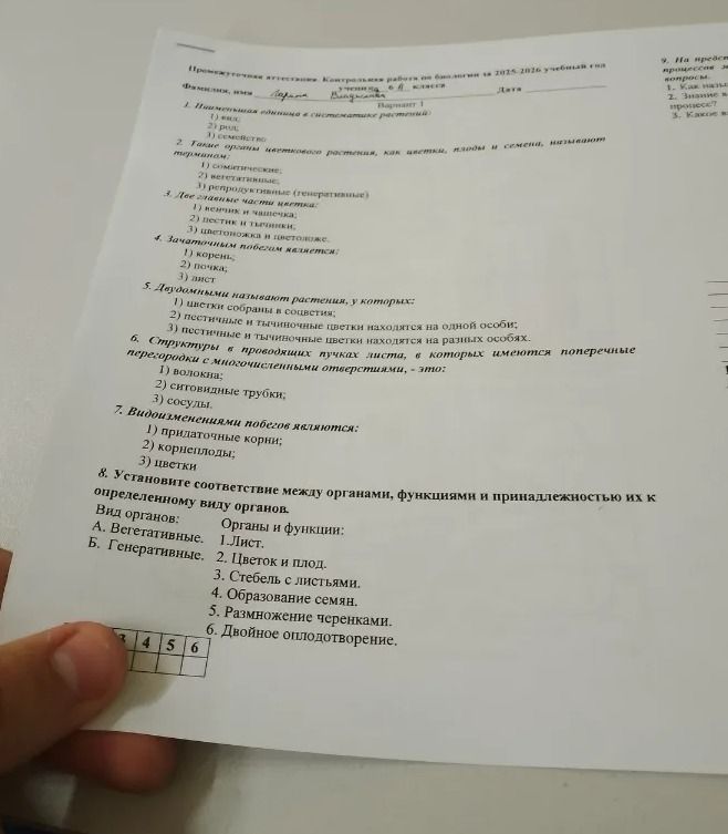 Фото задания: 4. Зачаточным побегом является: