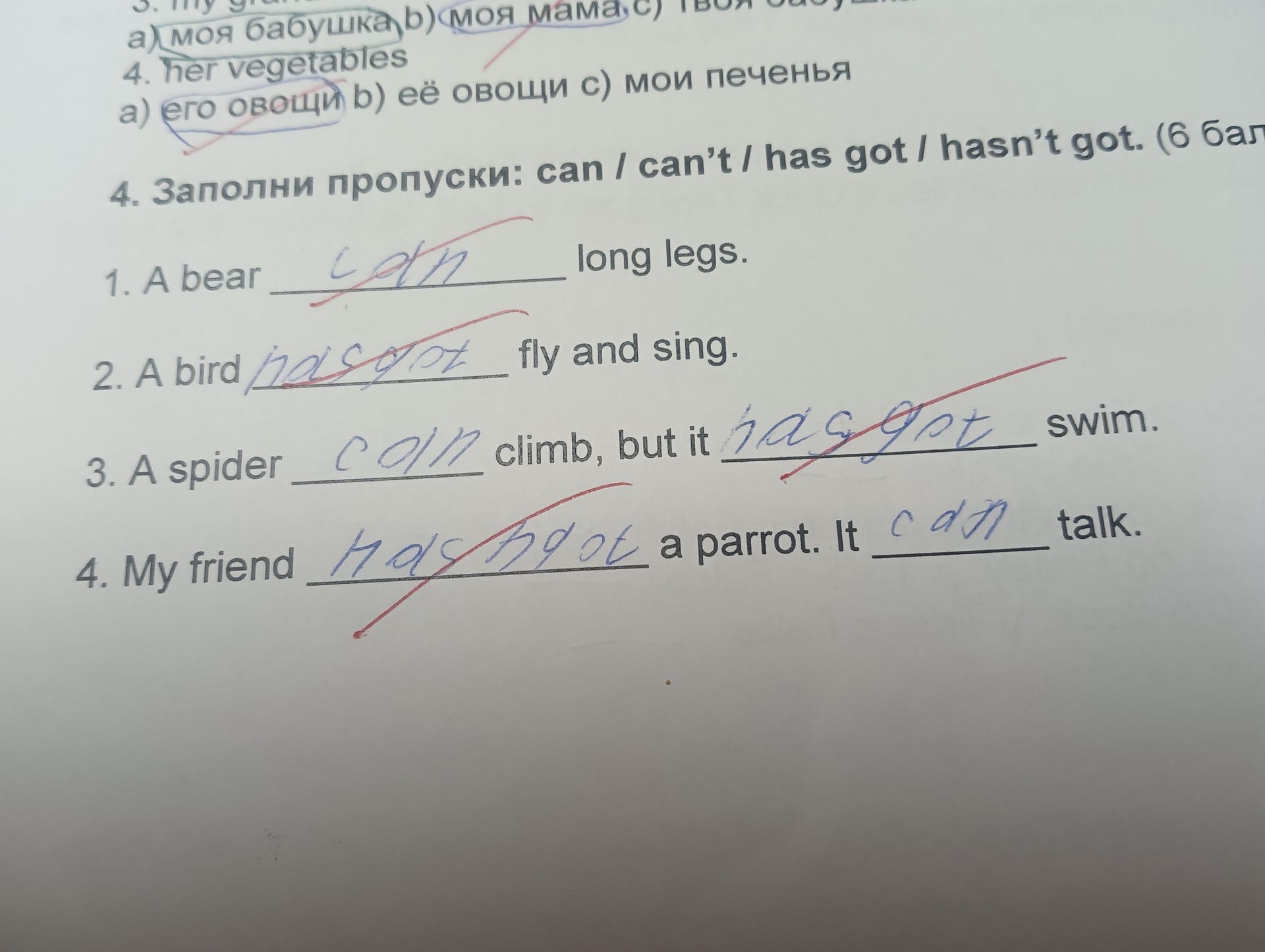 Фото задания: 4. Заполни пропуски: can / can't / has got / hasn't got. (6 бал 1. A bear ______ long legs. 2. A bird ______ fly and sing. 3.…