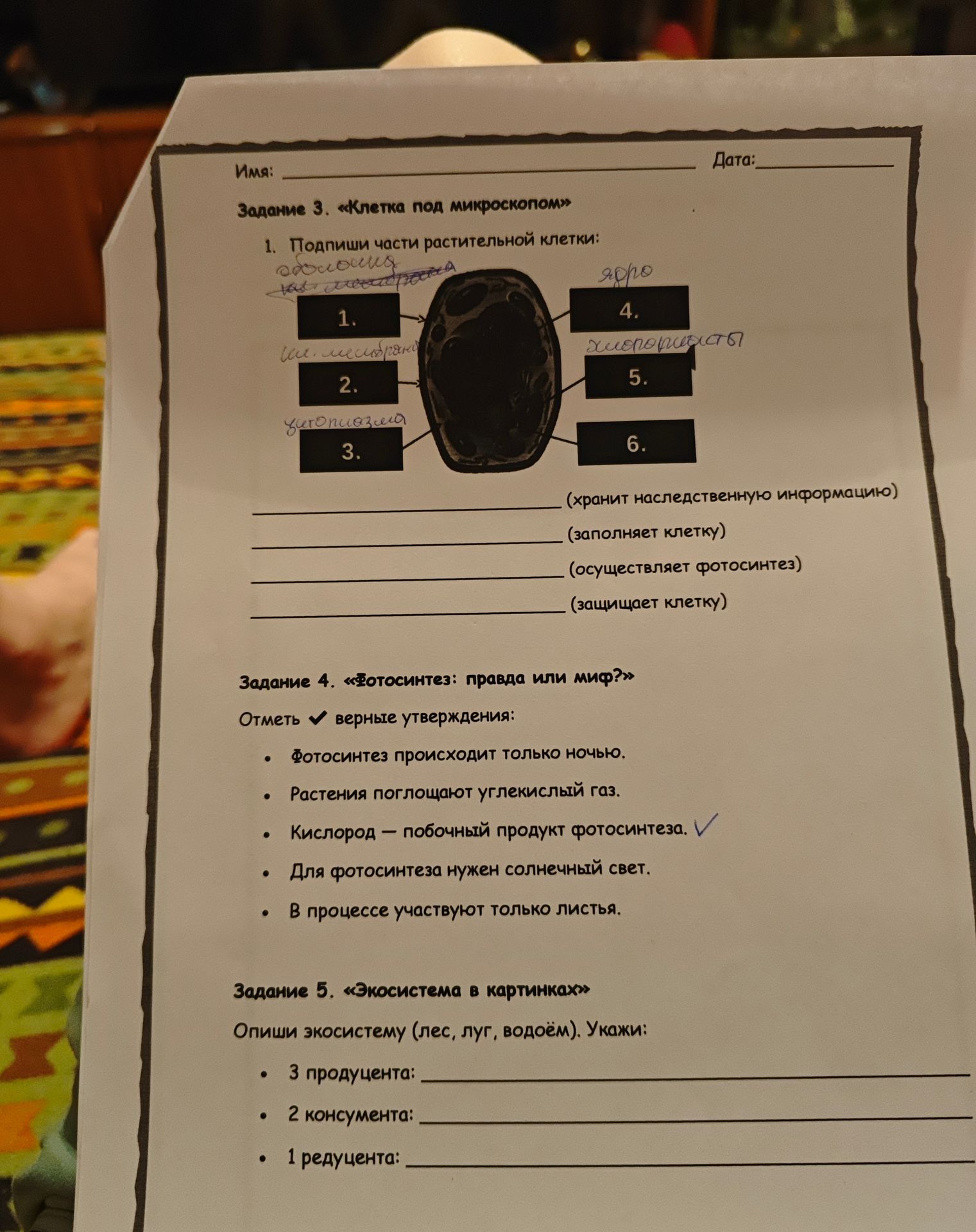 Фото задания: Задание 5. «Экосистема в картинках» Опиши экосистему (лес, луг, водоём). Укажи: