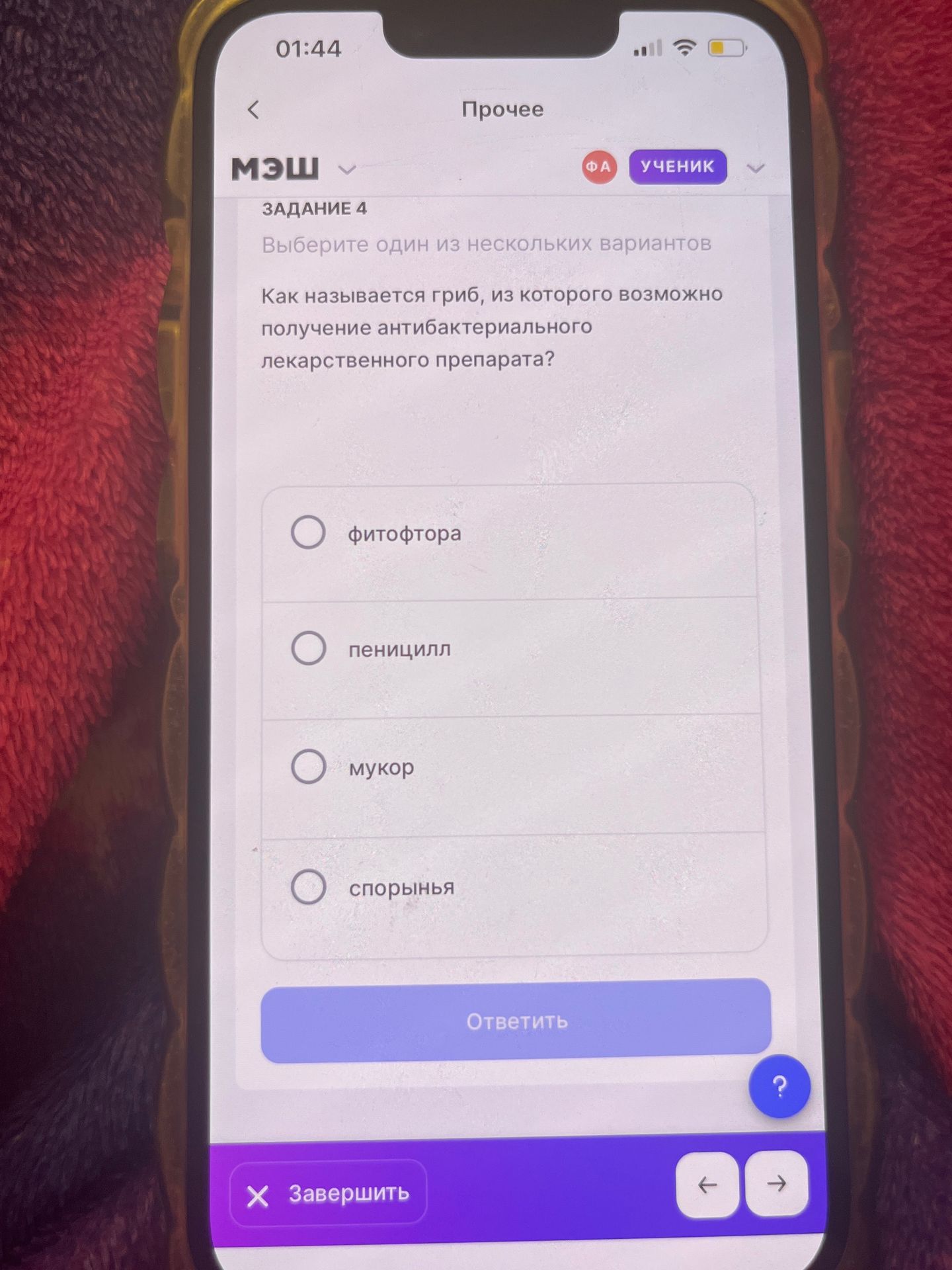 Фото задания: Как называется гриб, из которого возможно получение антибактериального лекарственного препарата?