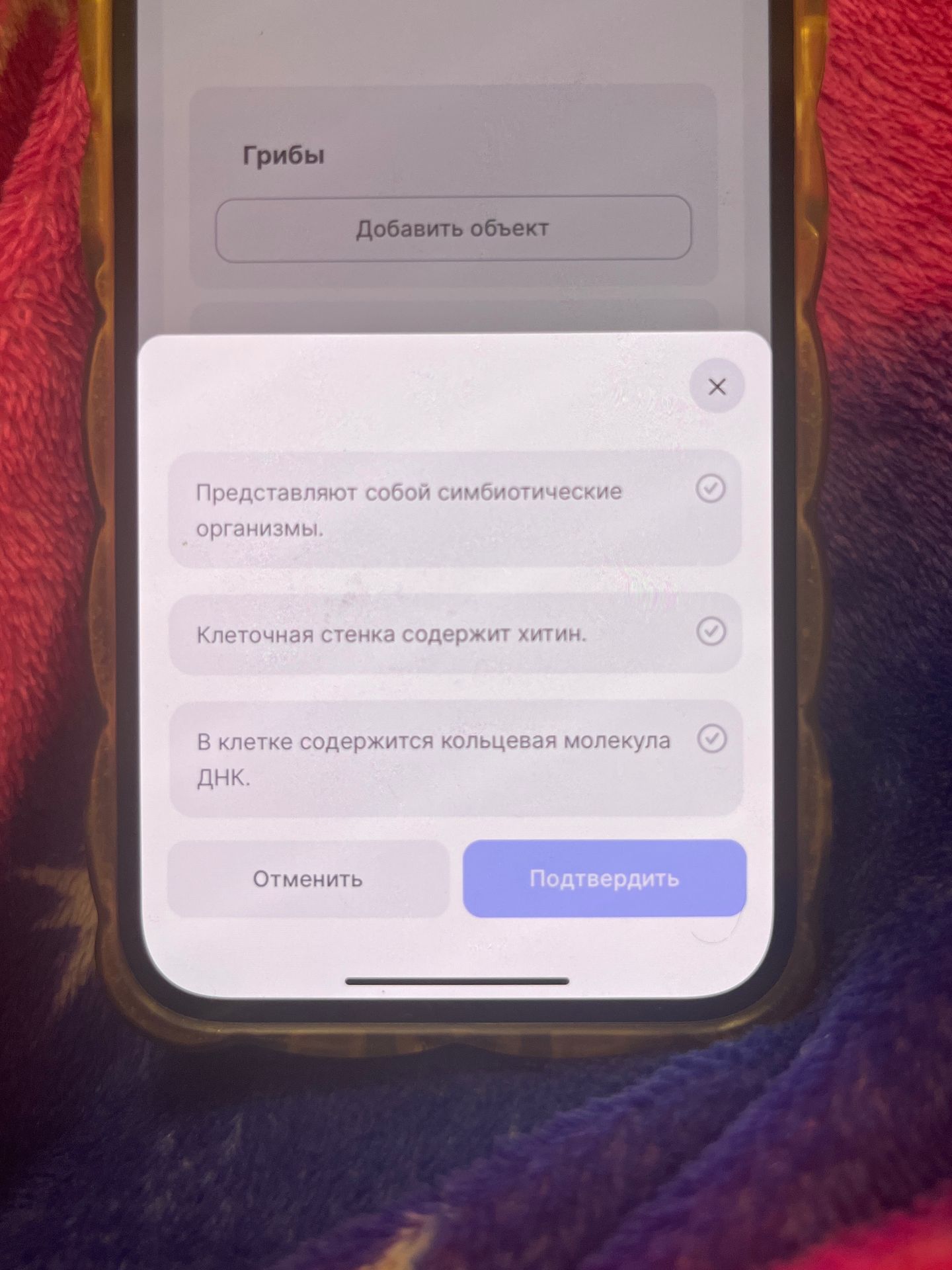 Фото задания: Грибы