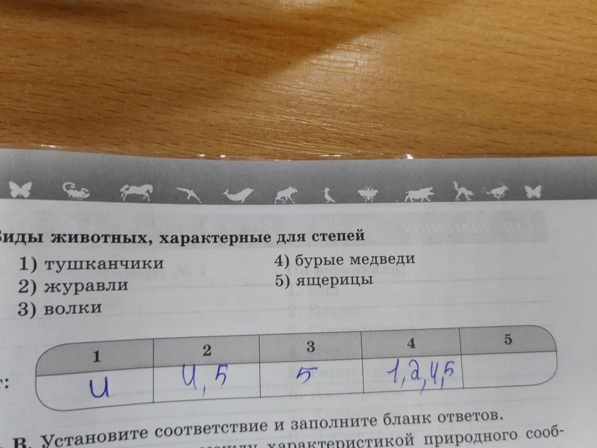 Фото задания: Виды животных, характерные для степей: 1) тушканчики 2) журавли 3) волки 4) бурые медведи 5) ящерицы Установите…