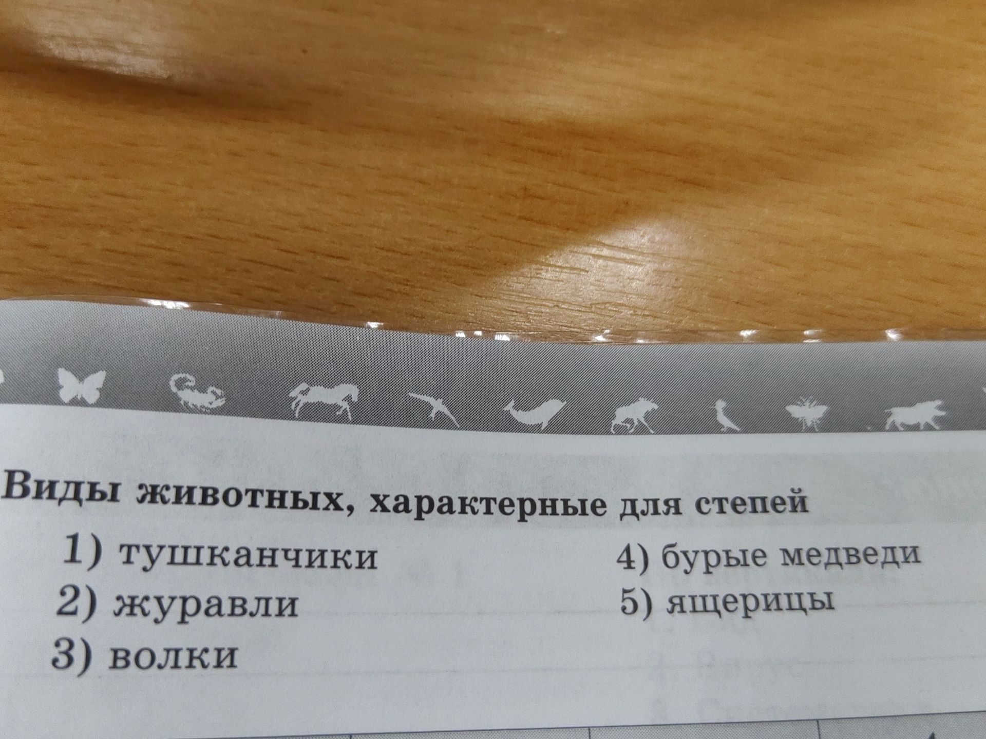 Фото задания: Виды животных, характерные для степей 1) тушканчики 2) журавли 3) волки 4) бурые медведи 5) ящерицы
